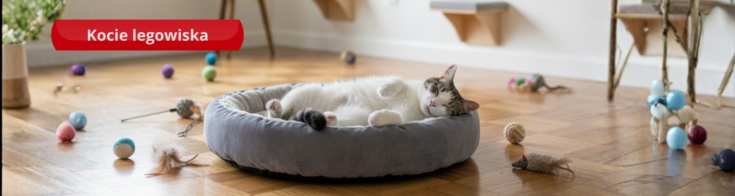 Przykładowa grafika